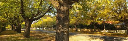 Finch Street - Beechworth - VIC (PBH4 00 13922)